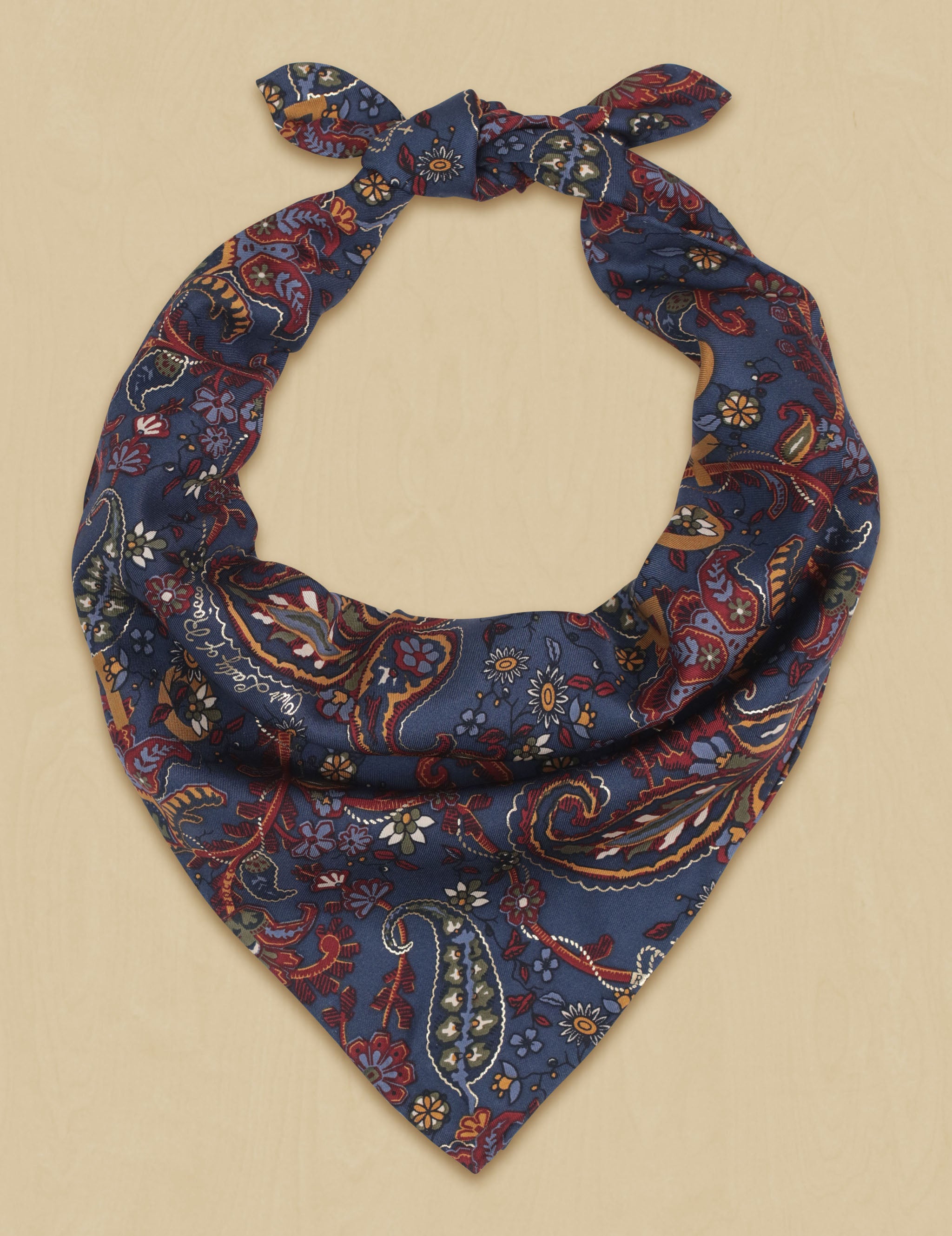 Paisley Bandana